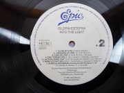 Gloria Estefan in to the Light 915 (3) (Copy)